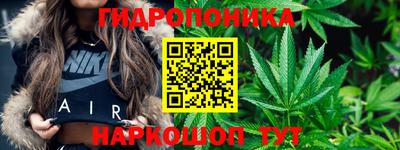 тгк Краснодар