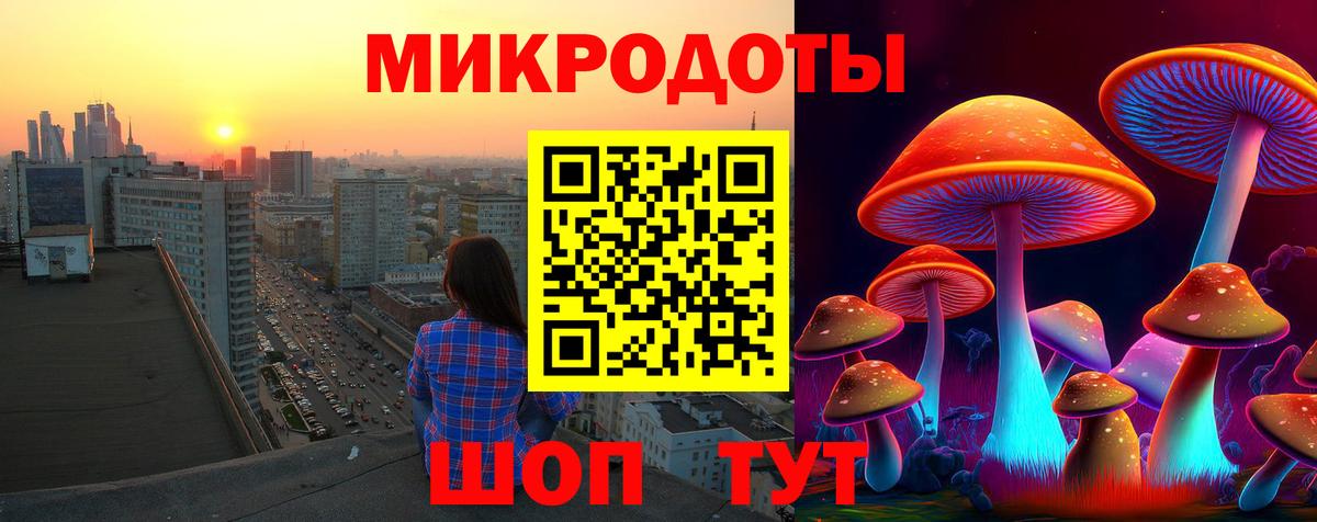 как найти наркотики  Вход с VPN  Вологда  Псилоцибиновые грибы ЛСД  Псилоцибиновые грибы Cubensis 